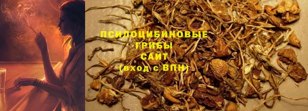 стафф Володарск